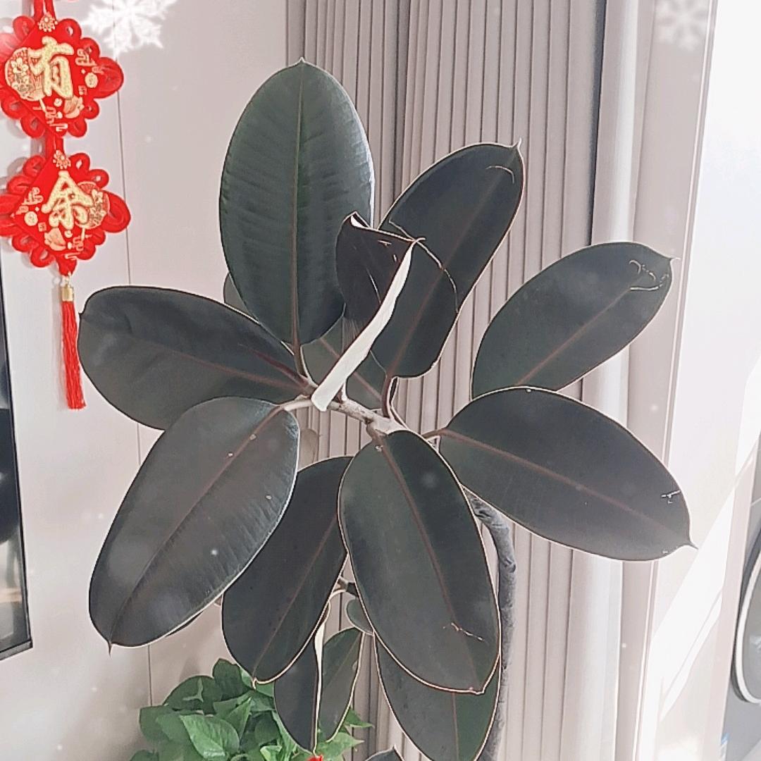 时代一馨