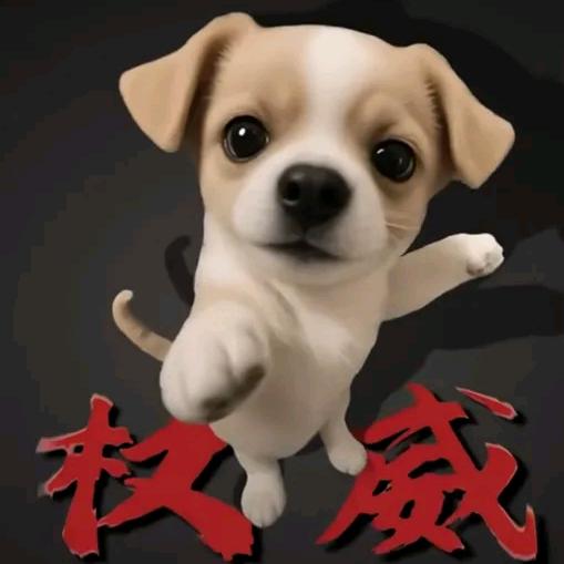 十一蓝妹不醉i🎃i