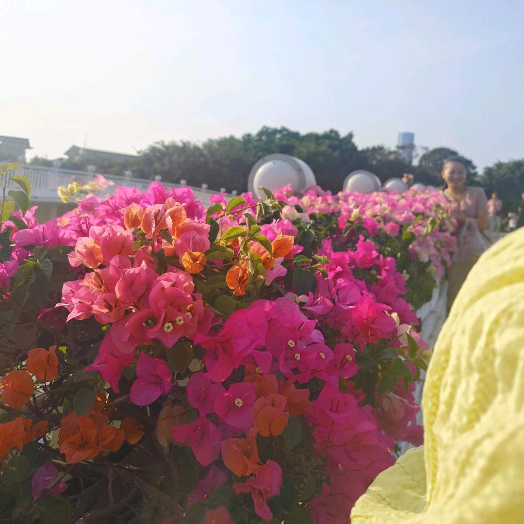 (ง •̀_•́)重生之王♥