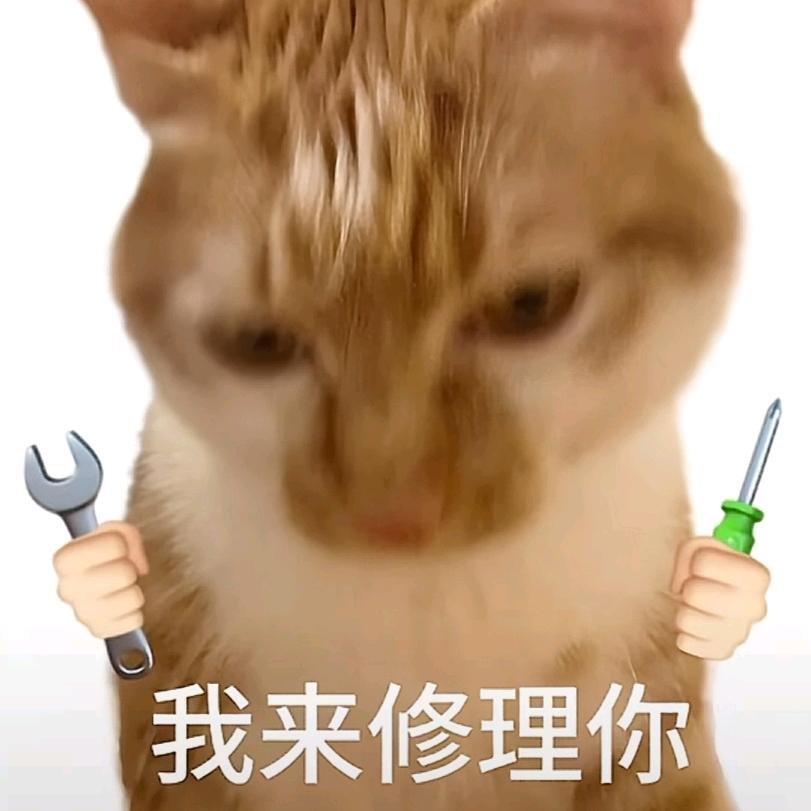 睡个小笨觉