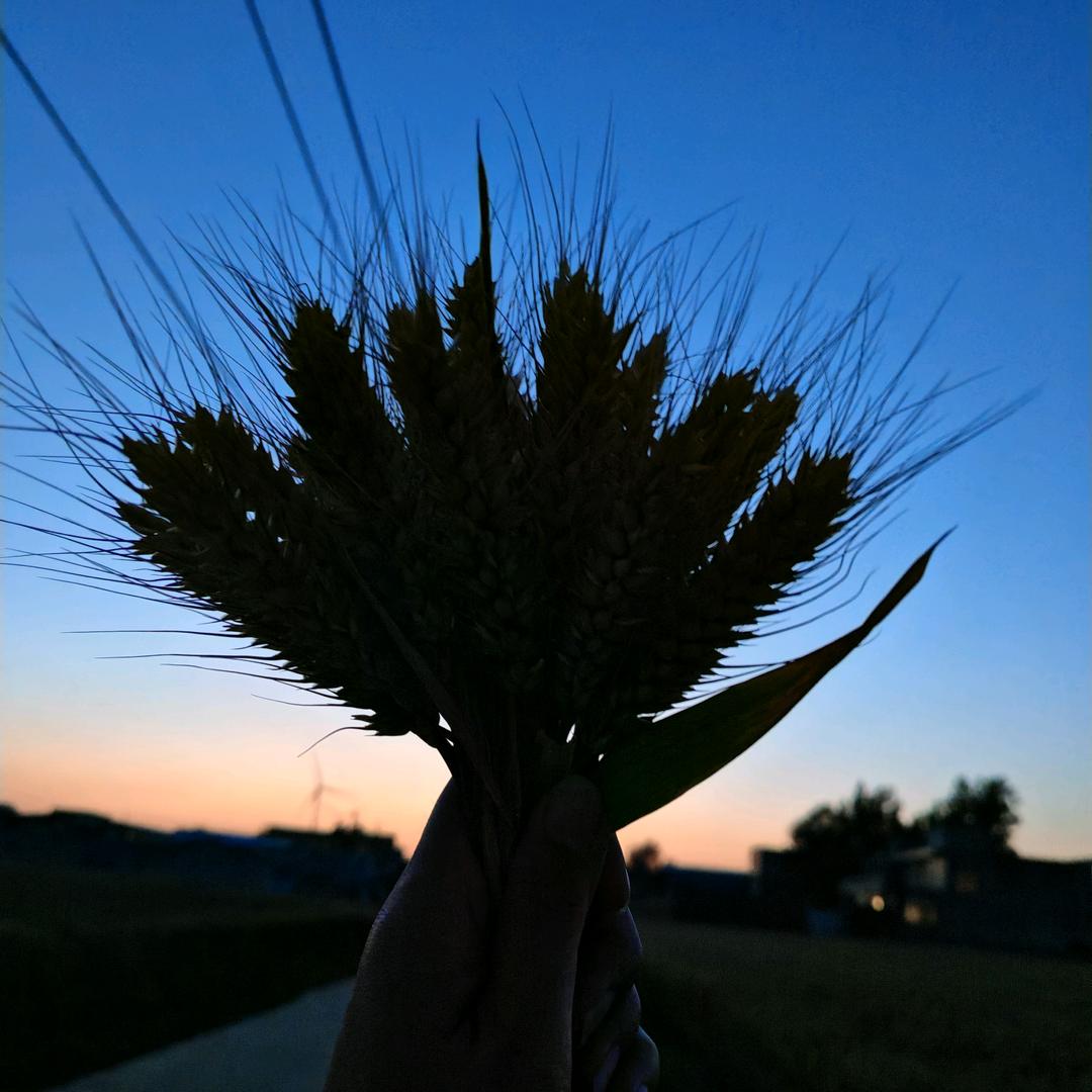 珍惜当下
