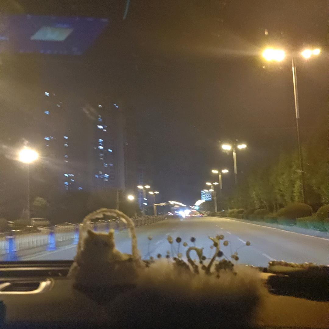 星河