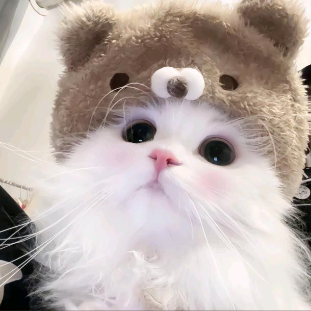 睡睡鸟