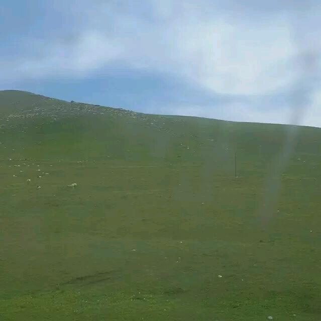 用户9146336090736