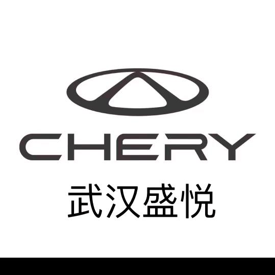 盛悦奇瑞彭迪