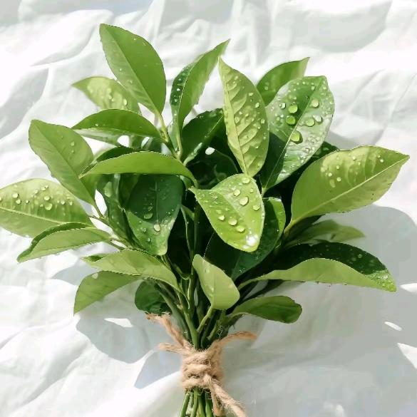 ໑ຼₒ₂₅ღ爱财爱己✨