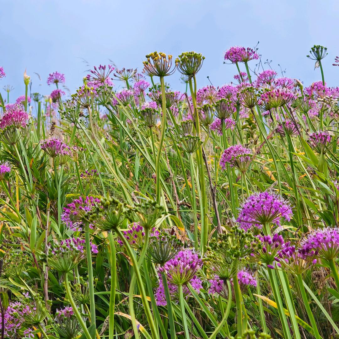 用户1295530540724fU