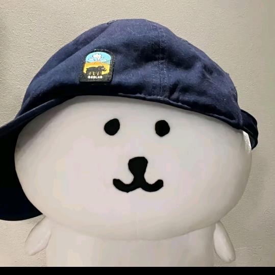 Xin