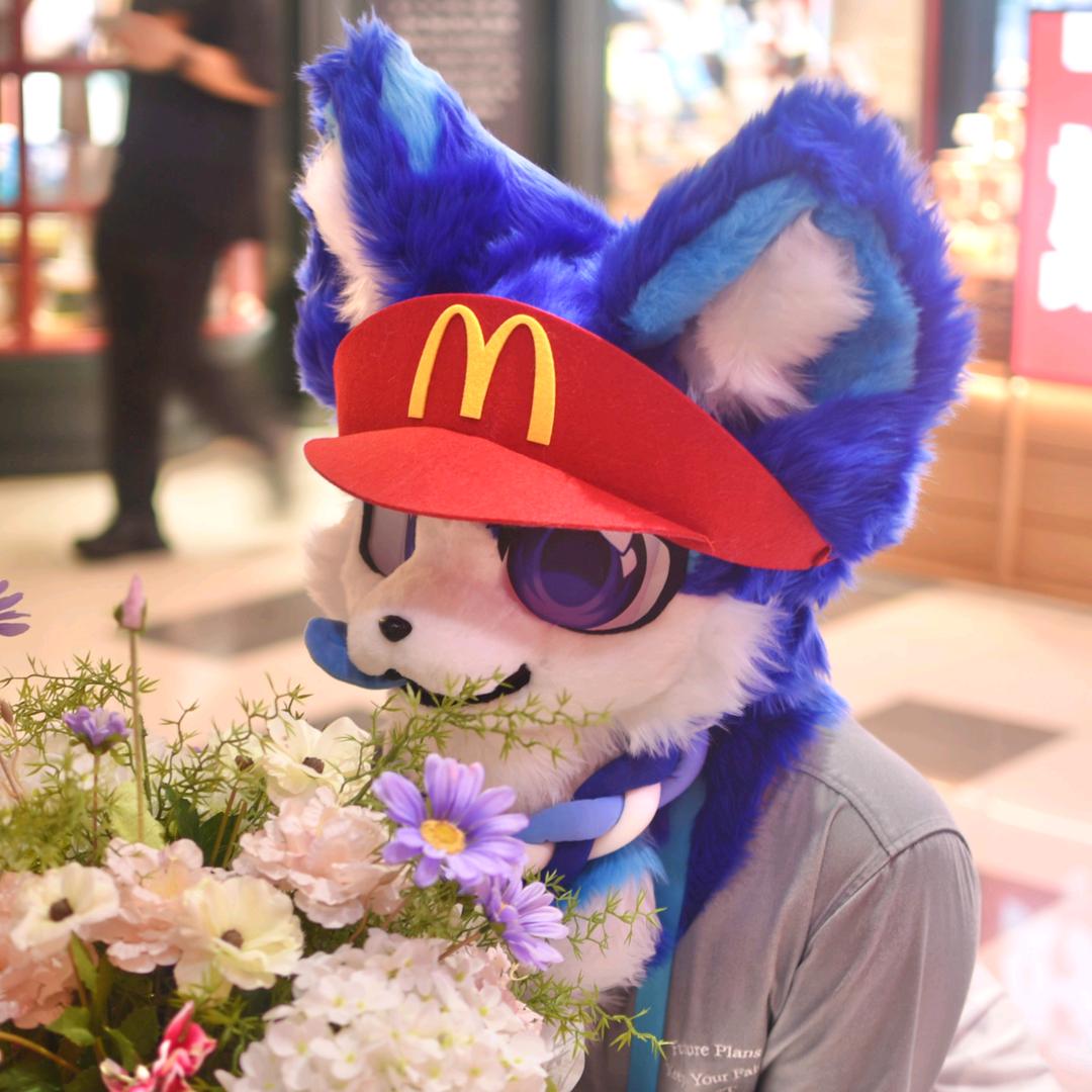 是你的辰月呀→唐山绒兽