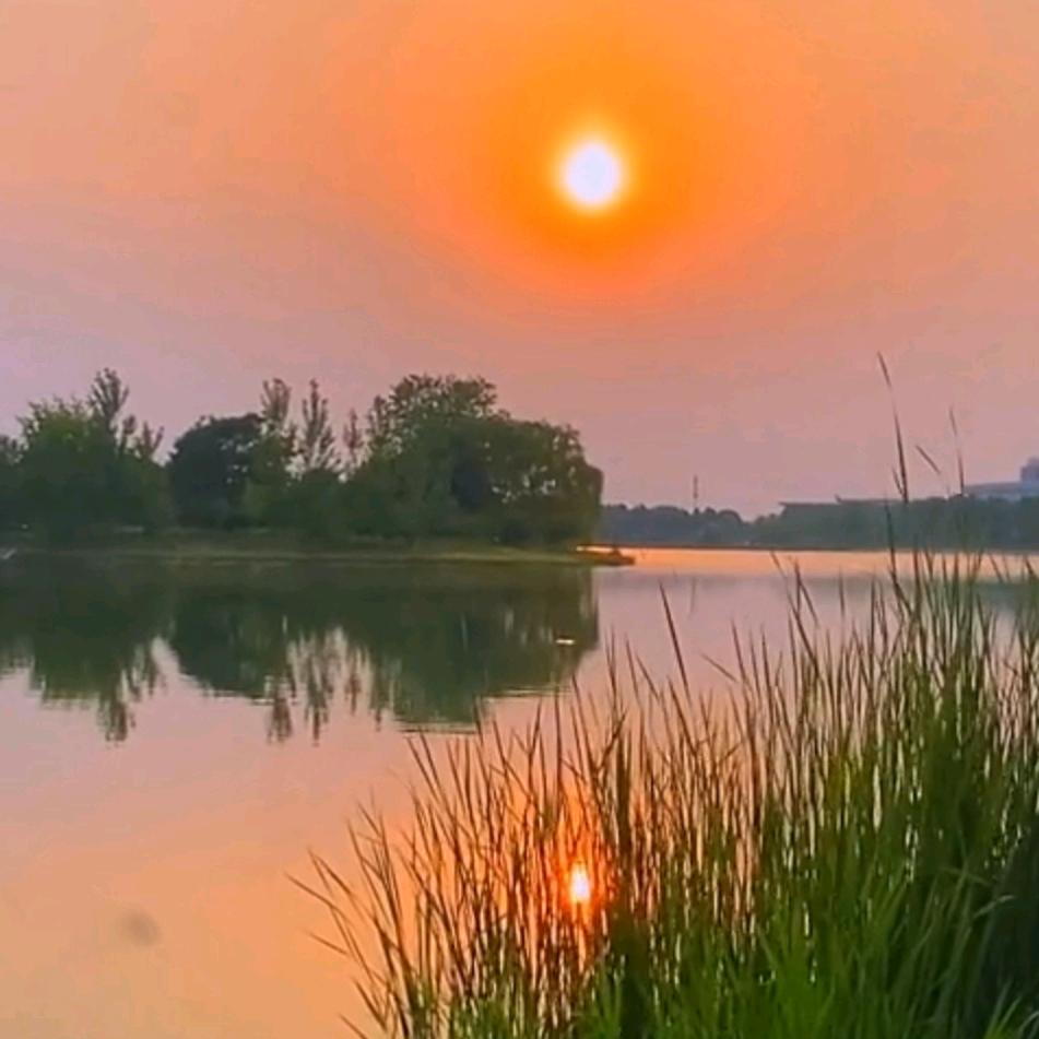 孙红