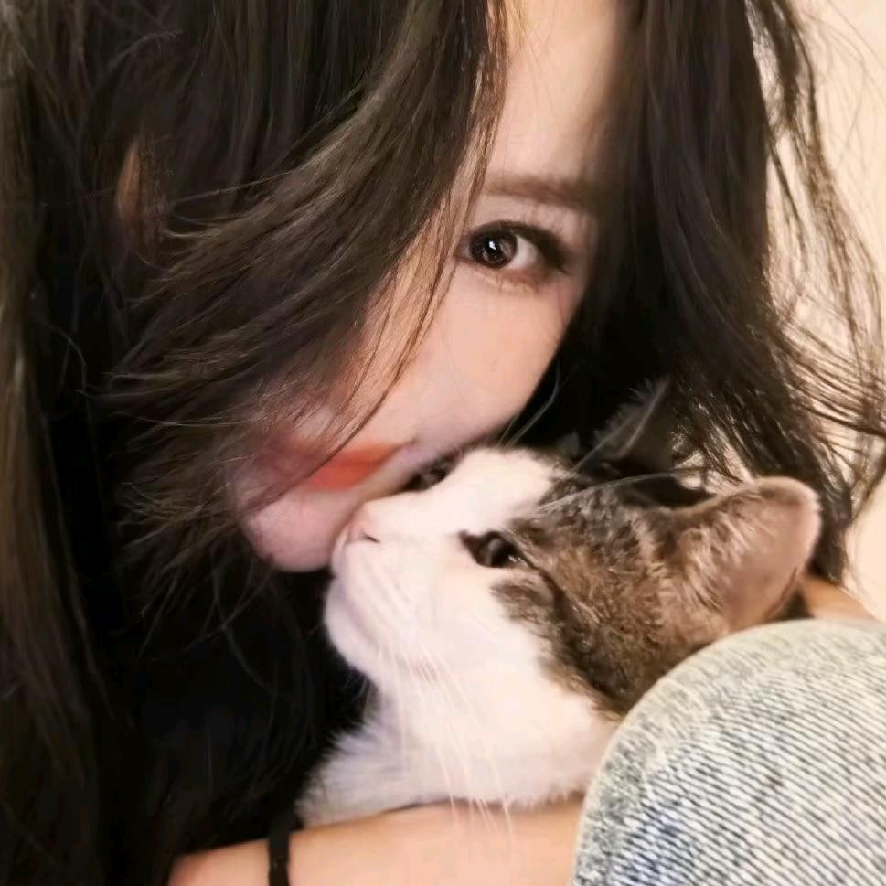 一只马甲猫🐱