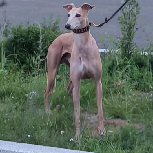 💕 ❧⁵²⁰杨宁（商砼）