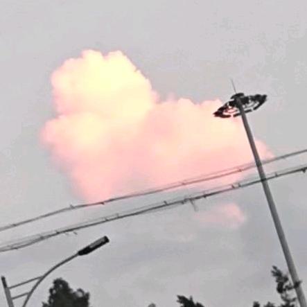 一只伤心的哈基德