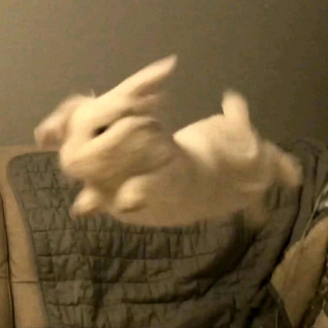 ✅我必早睡
