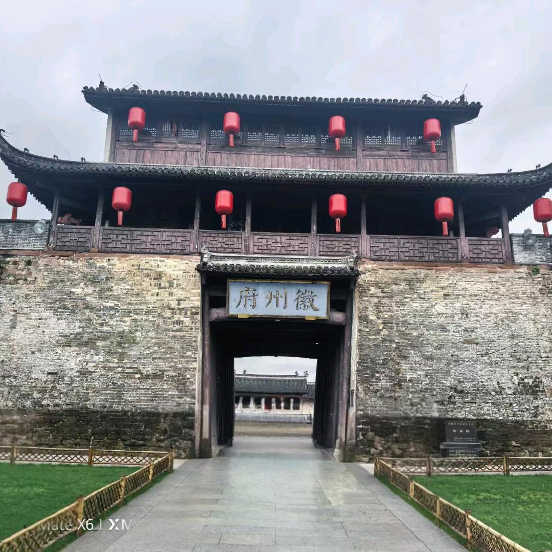 发呆的小绵羊