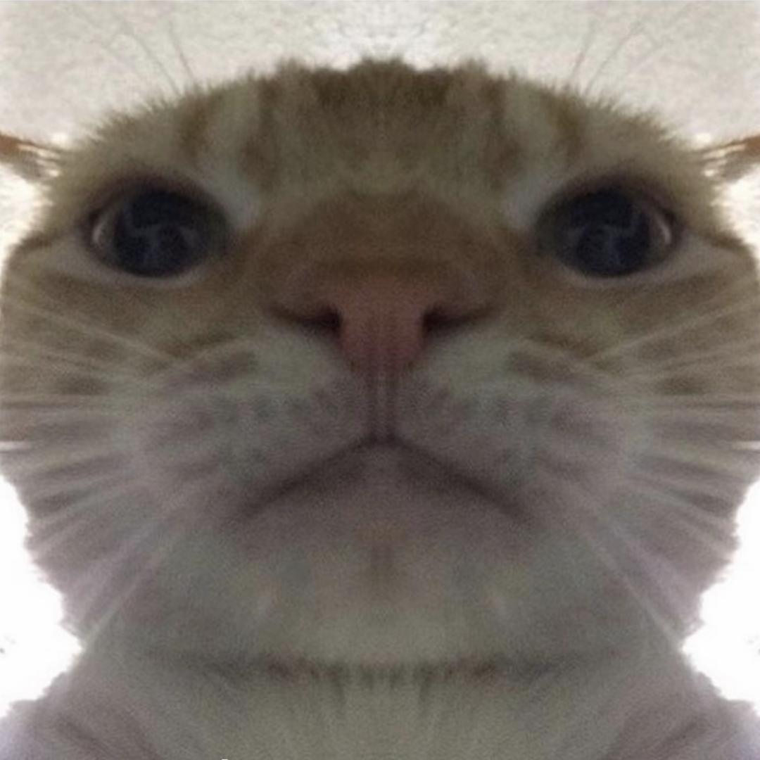 AK大王