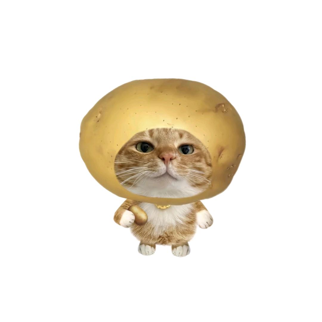 今天吃了么