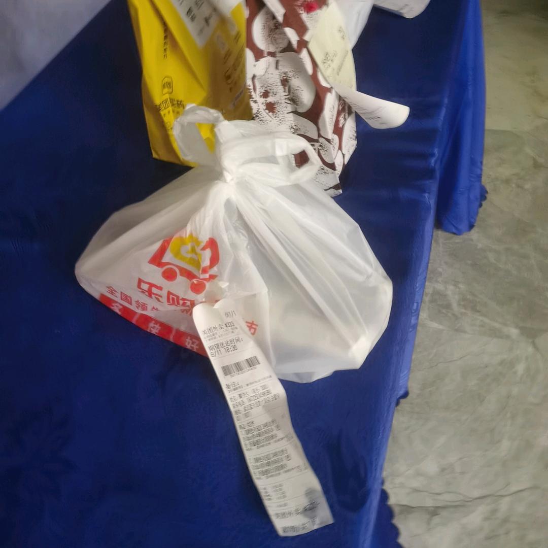 月球上的阿丹猫