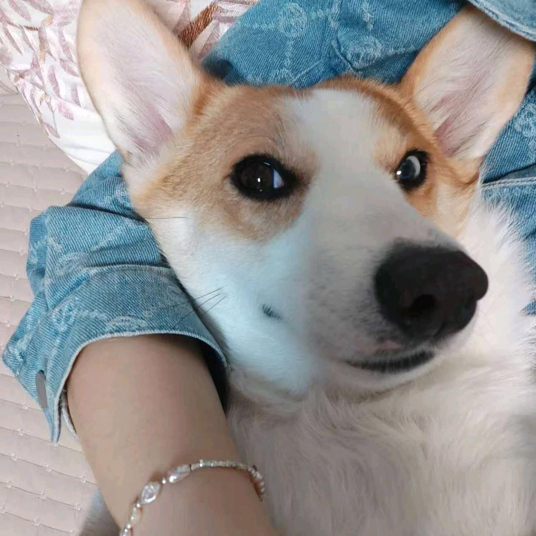 我就是我