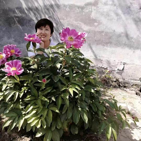 樱桃🍒香香