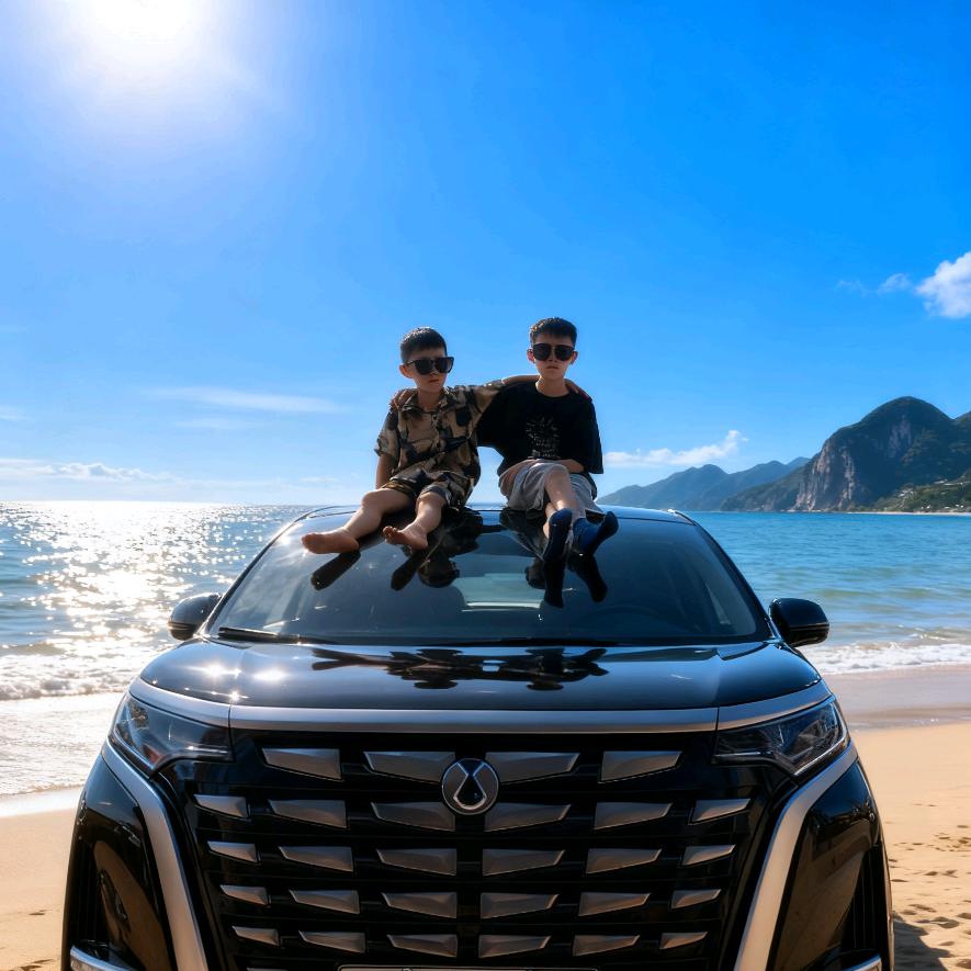 亮仔线香晨光花