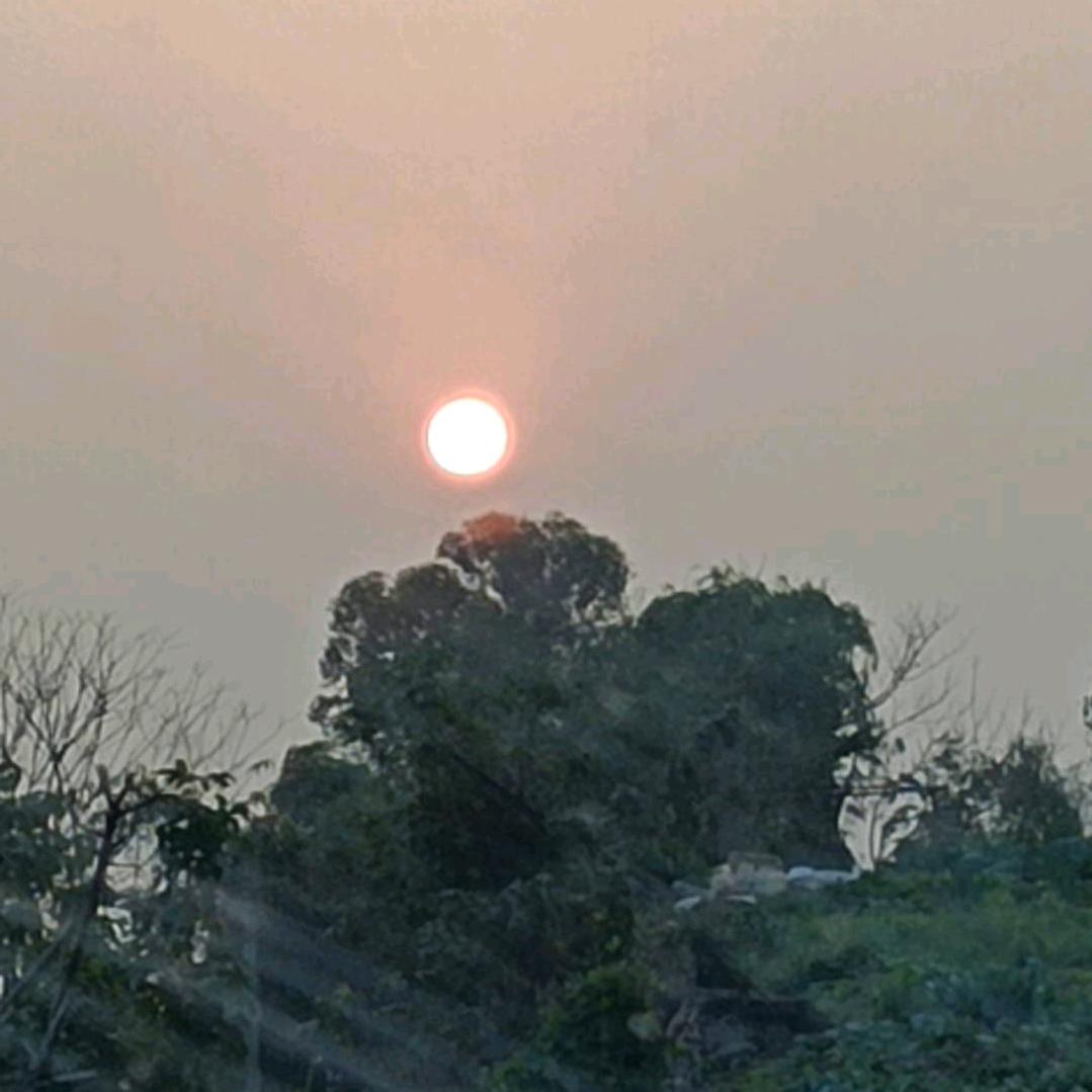 难得糊涂