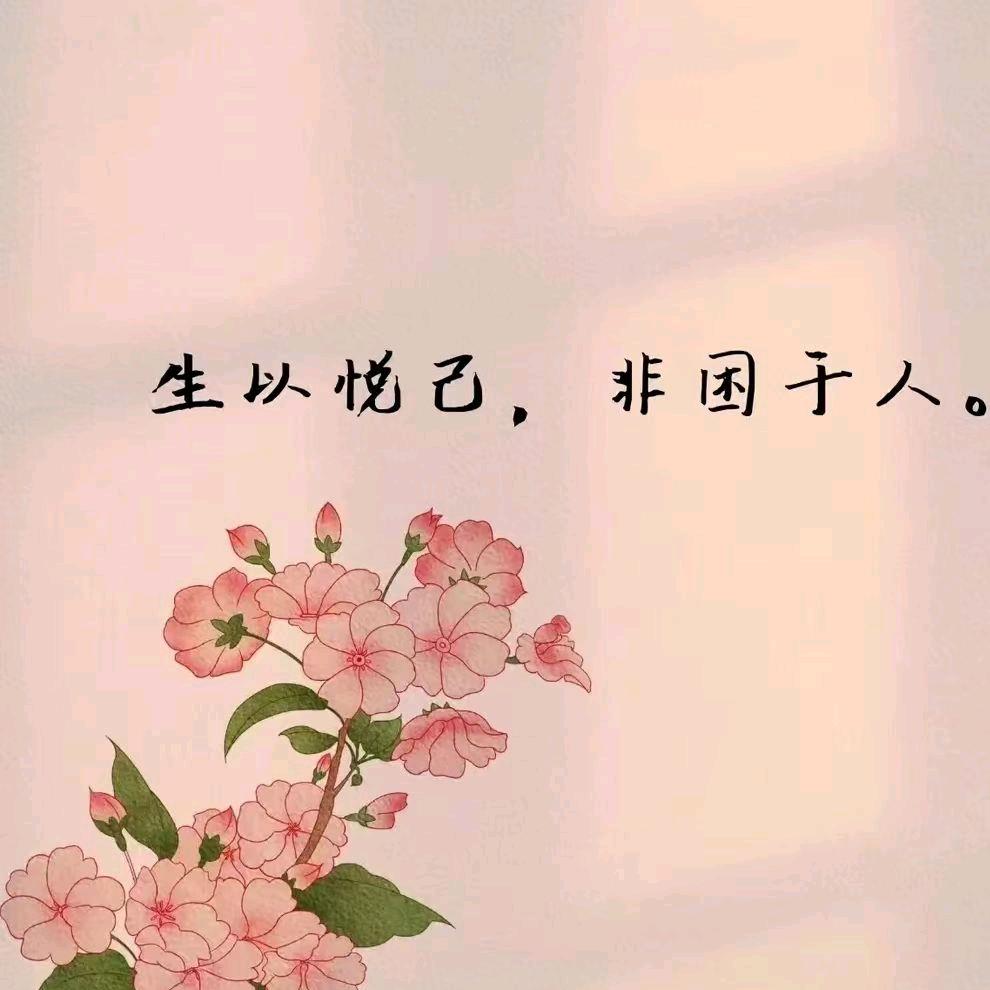 诺晨