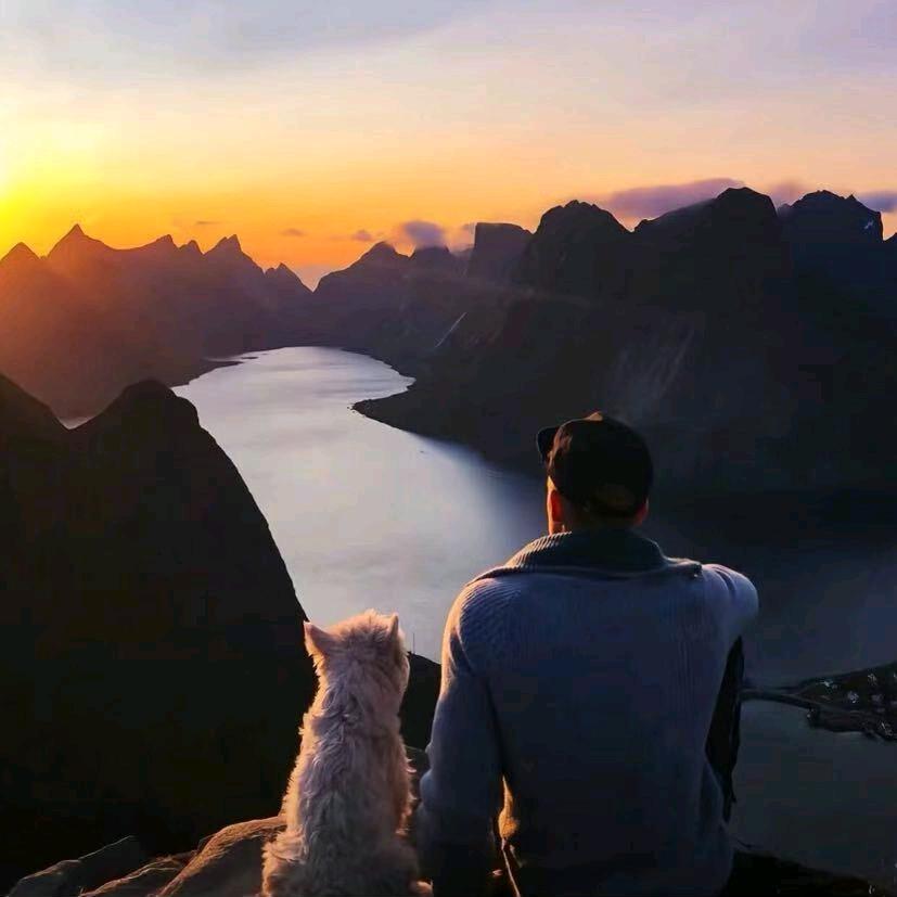 机油手—老机 （公益护农）