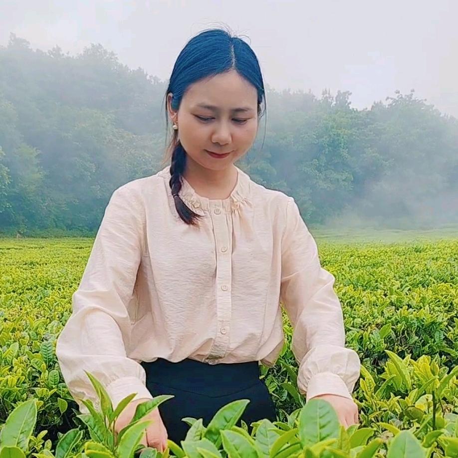 三峡茶姑娘