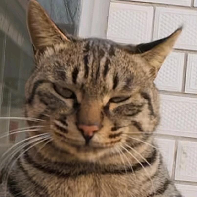 哦耶꒰ •ॢ ̫ -ॢ๑꒱