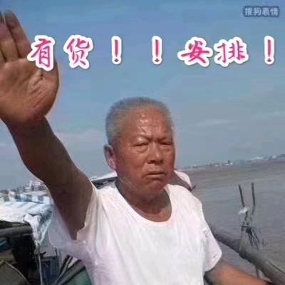 骑着蚂蚁逛地球🌍