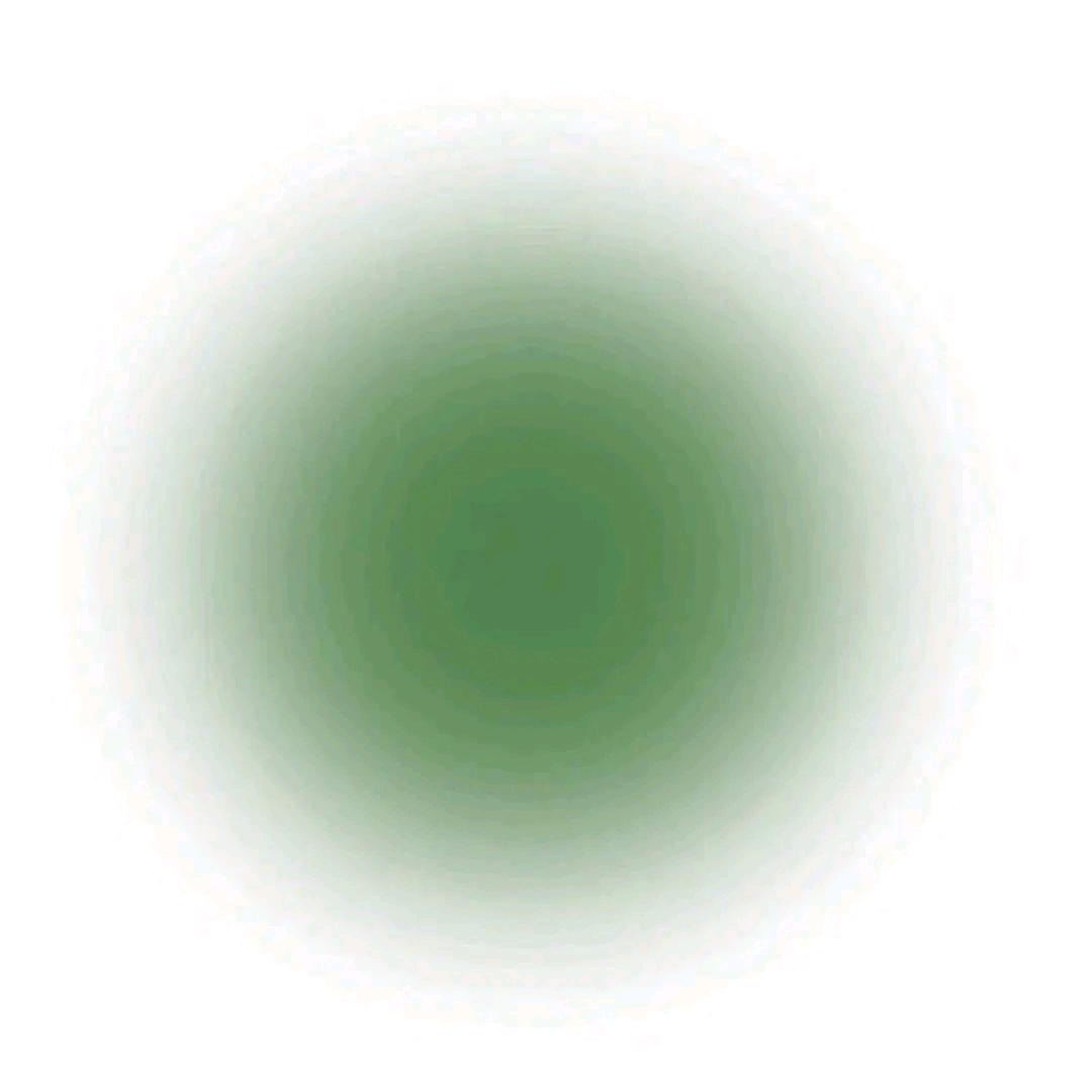 𝙃𝙪𝙞𝙞ᵒᵏ