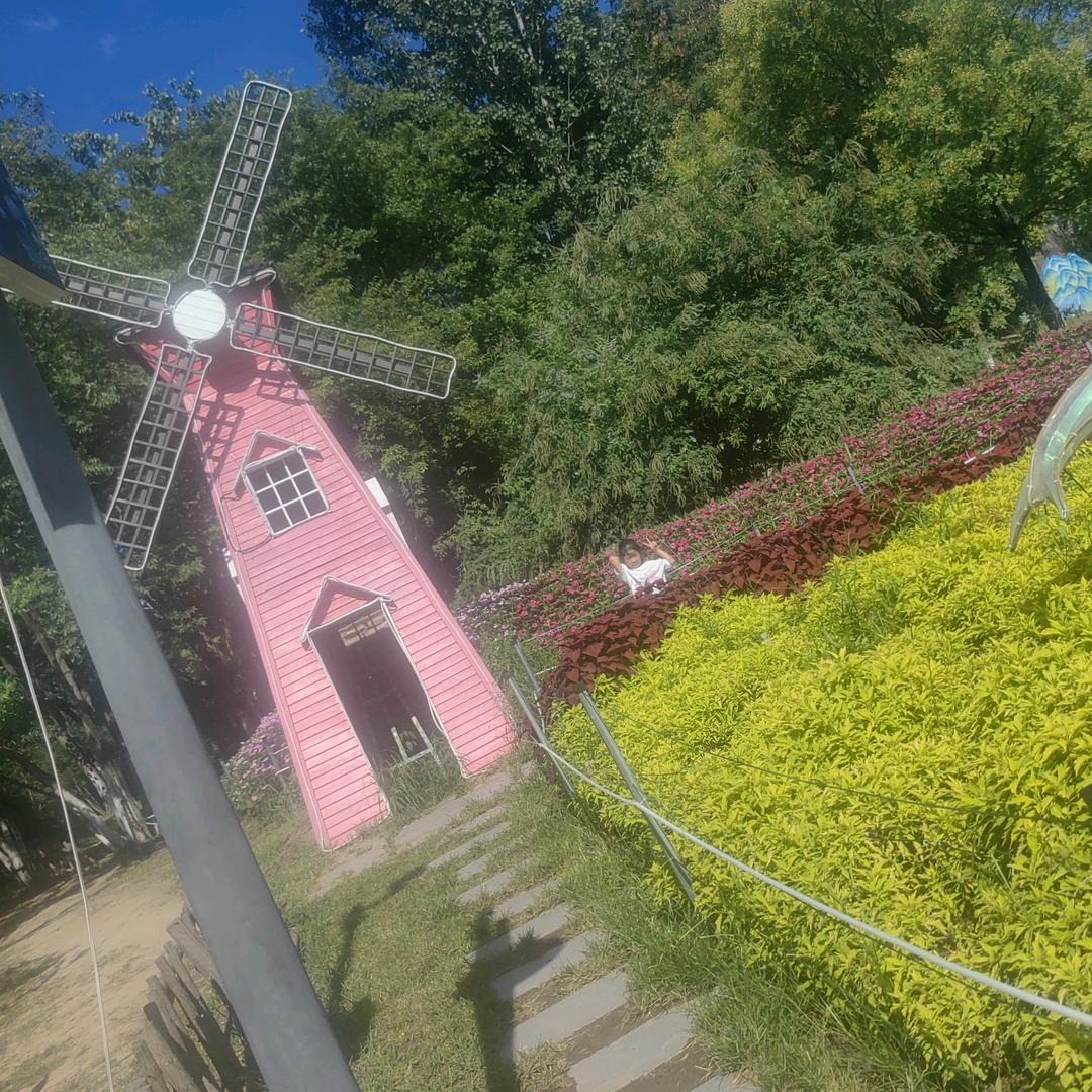 🌸🌸梅子🌸🌸