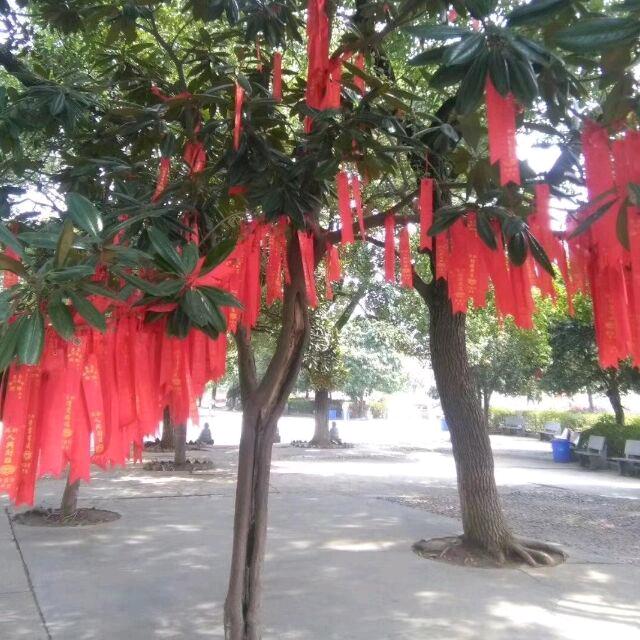 王二傻