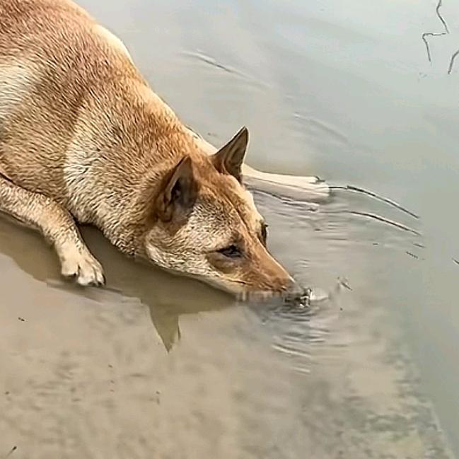 耒世之慯