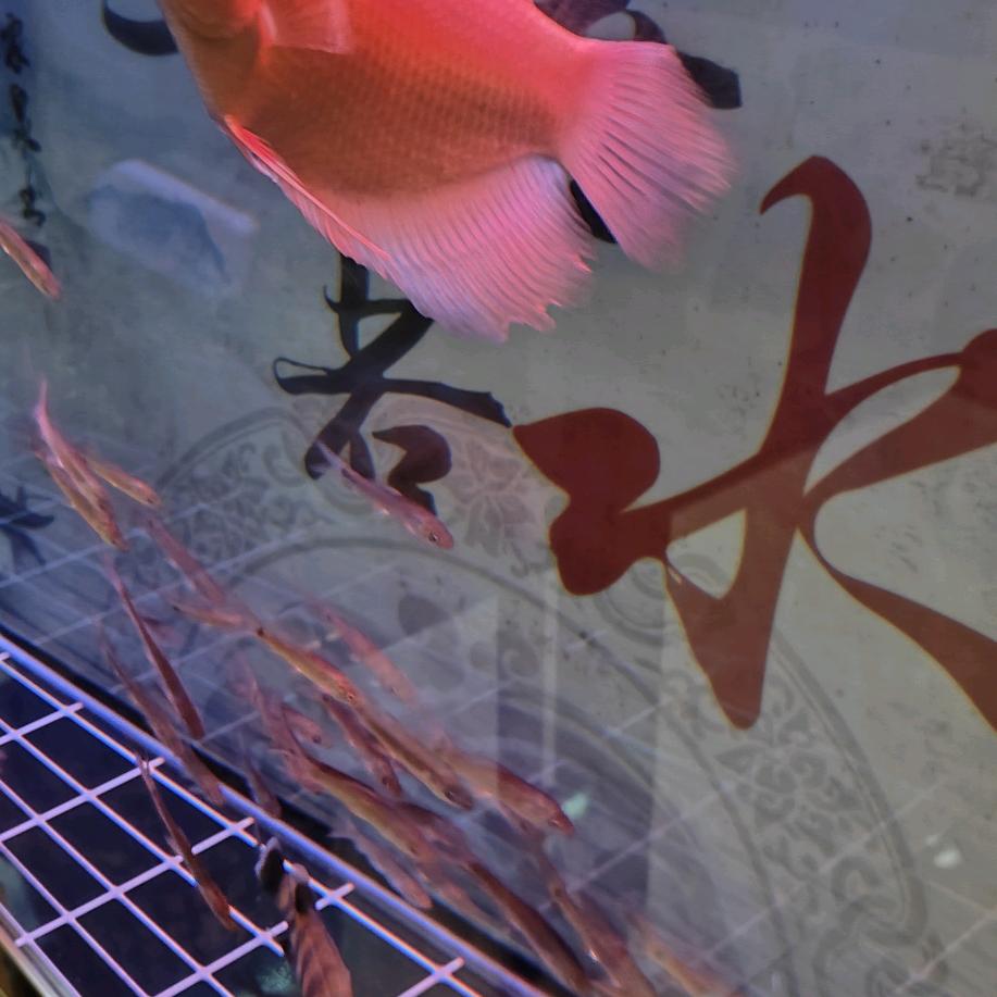 ：香烟最懂男人心