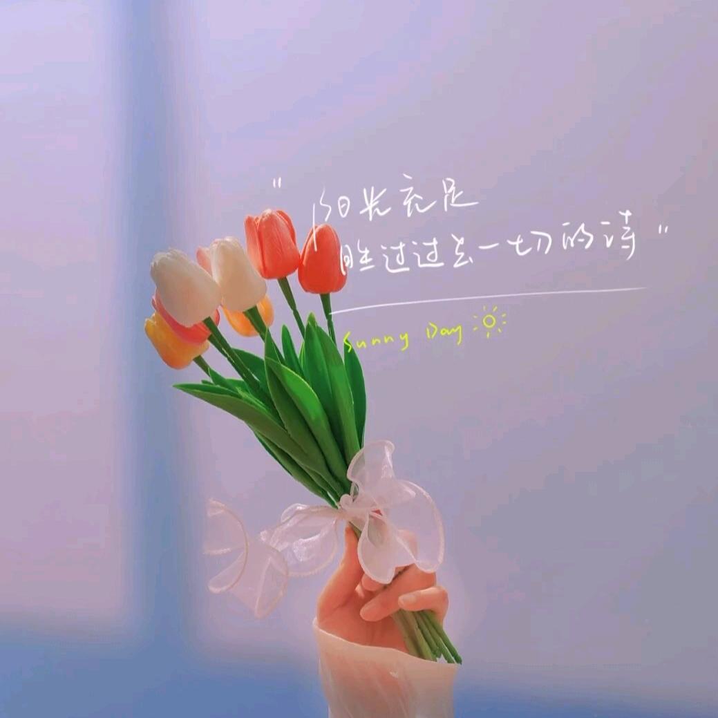 🌨昭昭如愿🌨