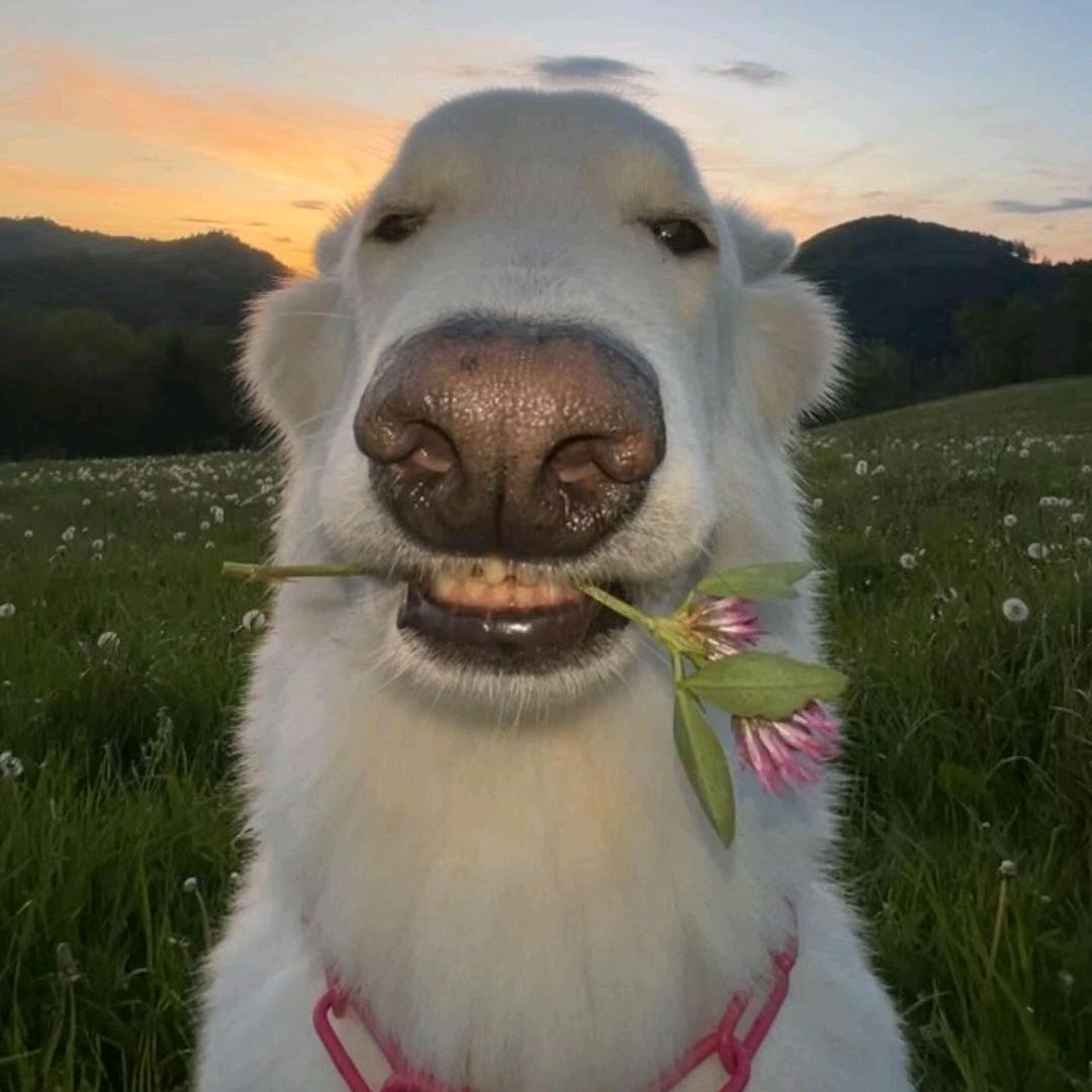 ㅤㅤㅤㅤㅤㅤㅤㅤㅤㅤㅤㅤㅤㅤ