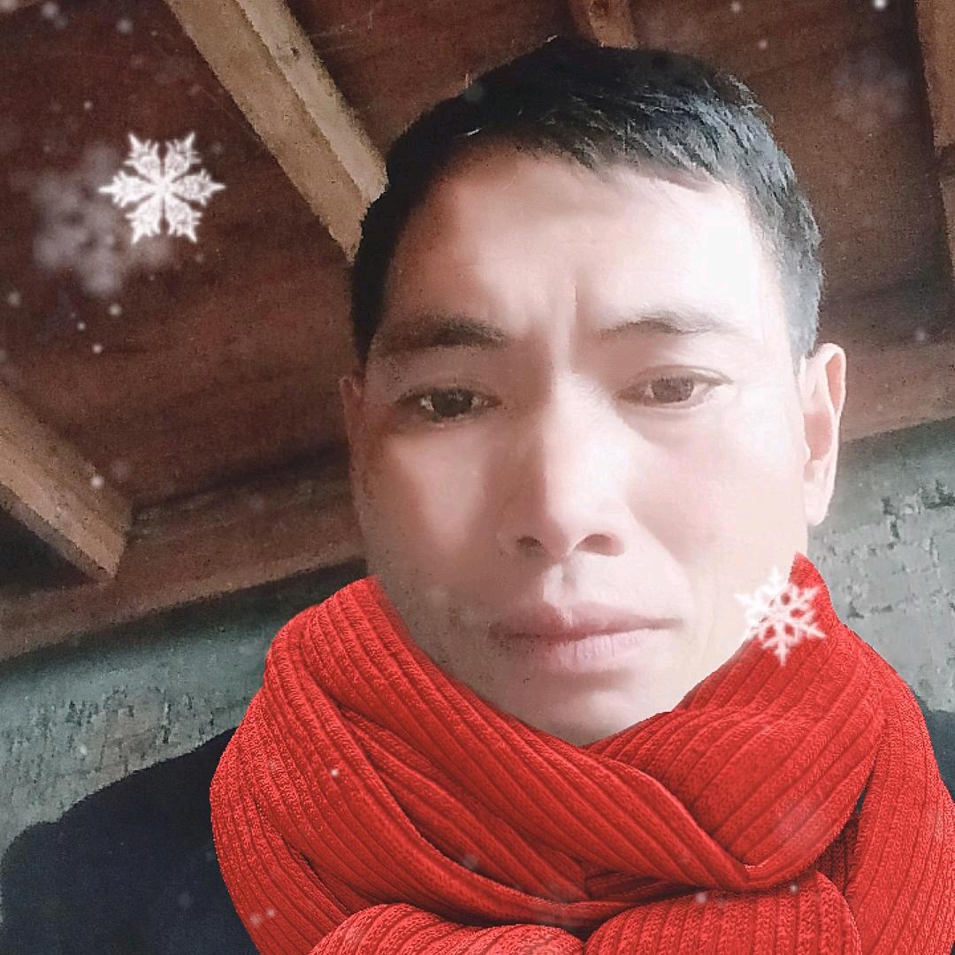 杨再林