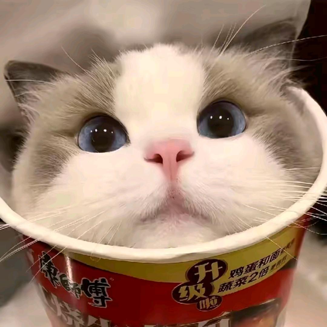 年愁的今夜