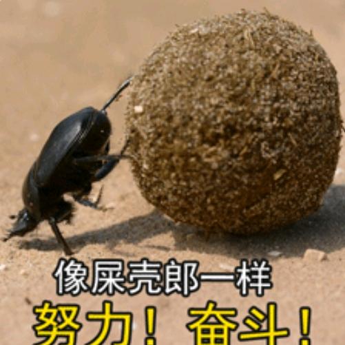 来推我呀💩