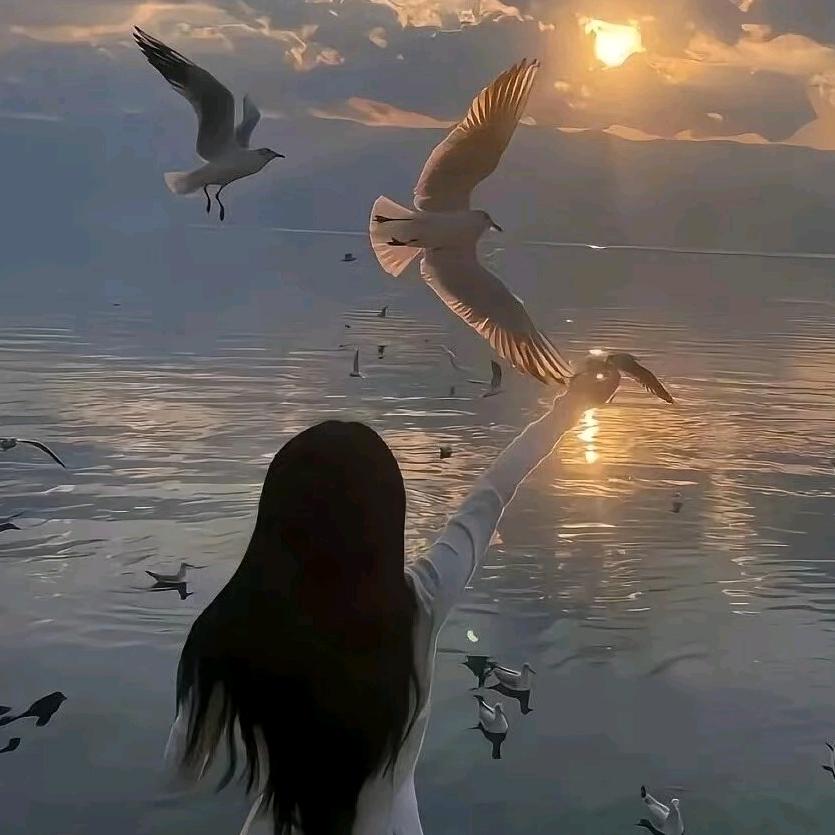 💞半颗糖甜•ᴥ•