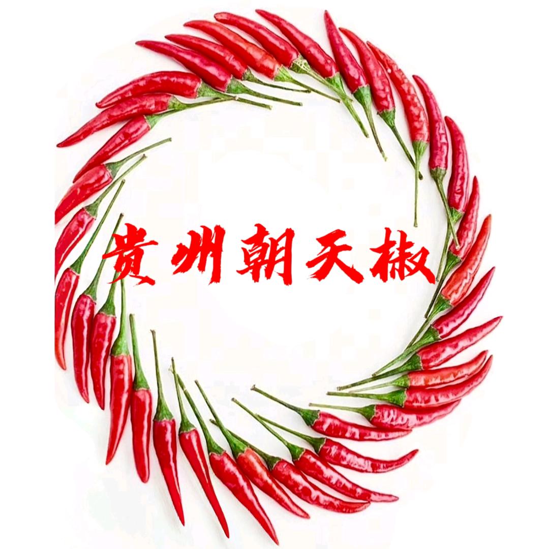 贵州朝天椒基地直供☞程志泉☜