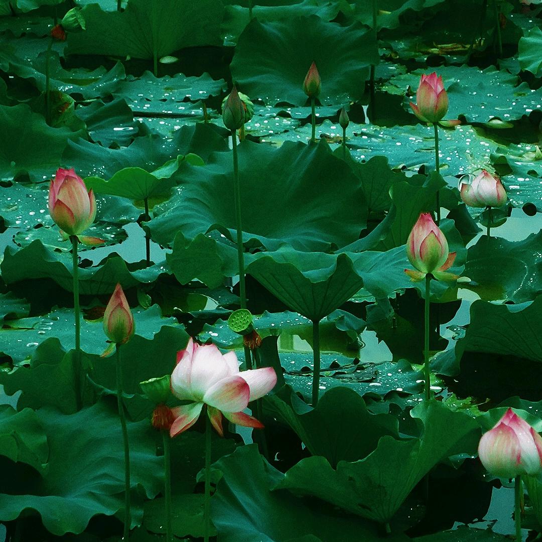 修养，好人一身平安