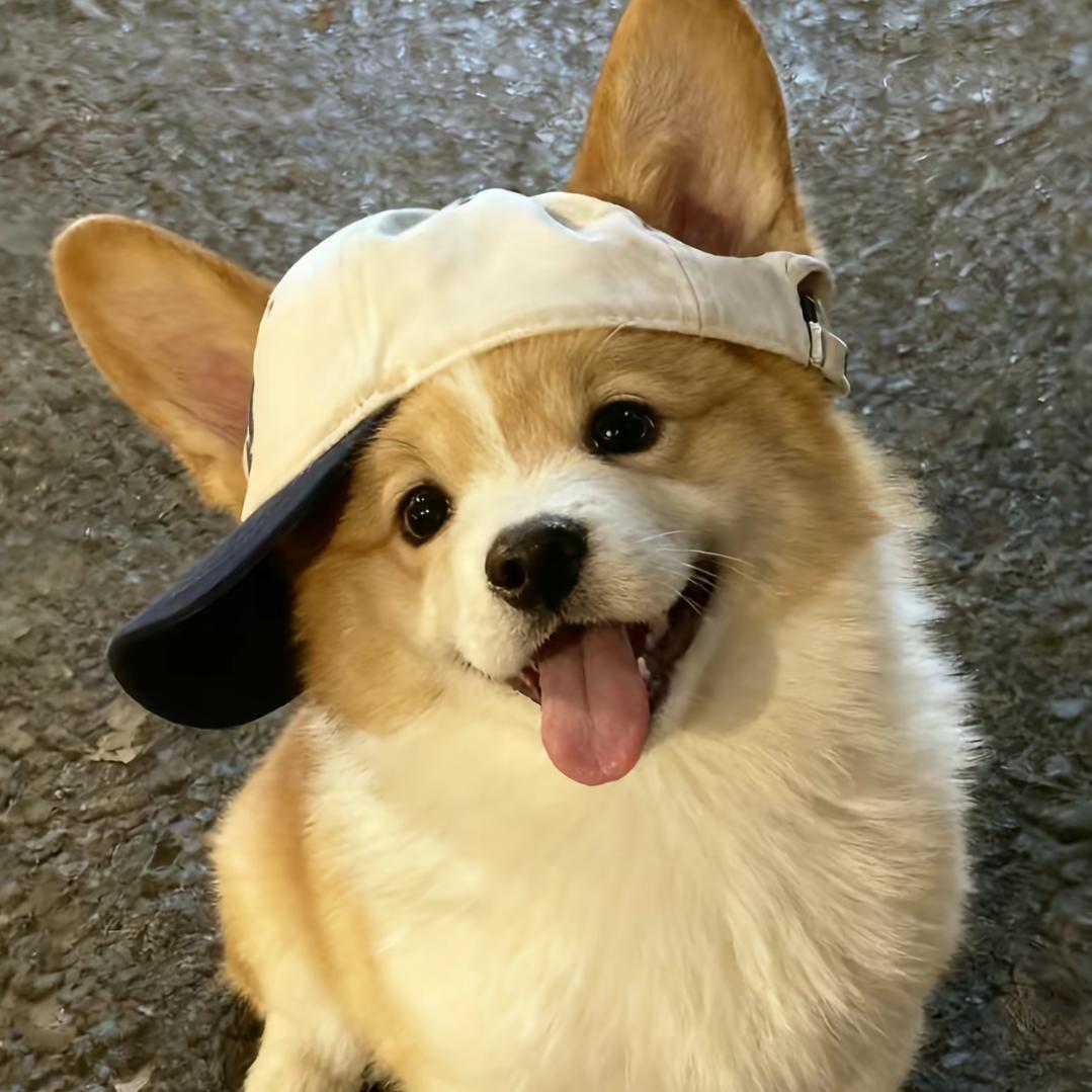 时年