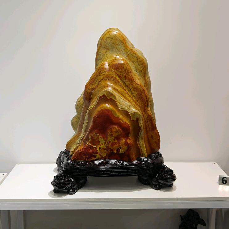 乐天奇石大化石