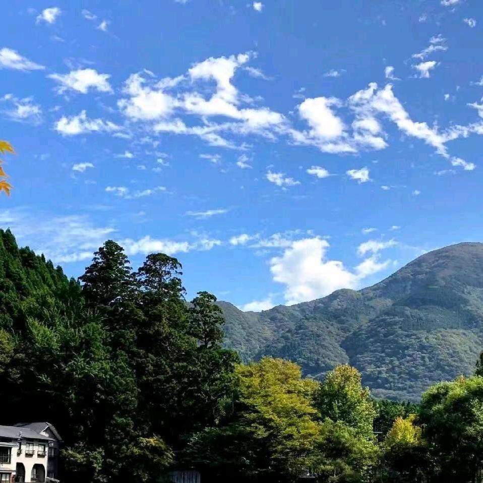 琢