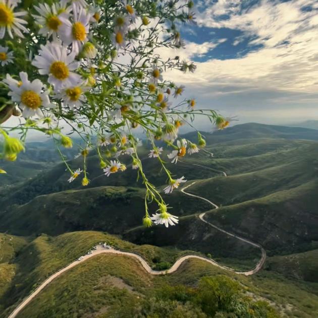 ꧔᭄如花似梦꧔ꦿ້