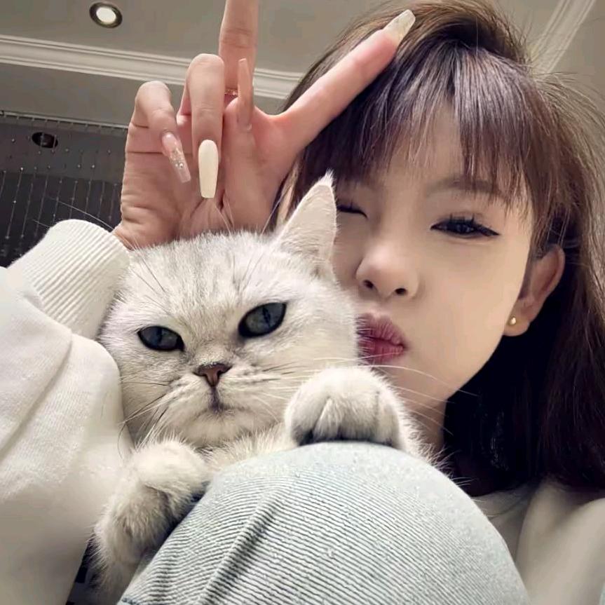 ㅤㅤㅤㅤㅤㅤ  ㅤㅤㅤㅤㅤㅤ