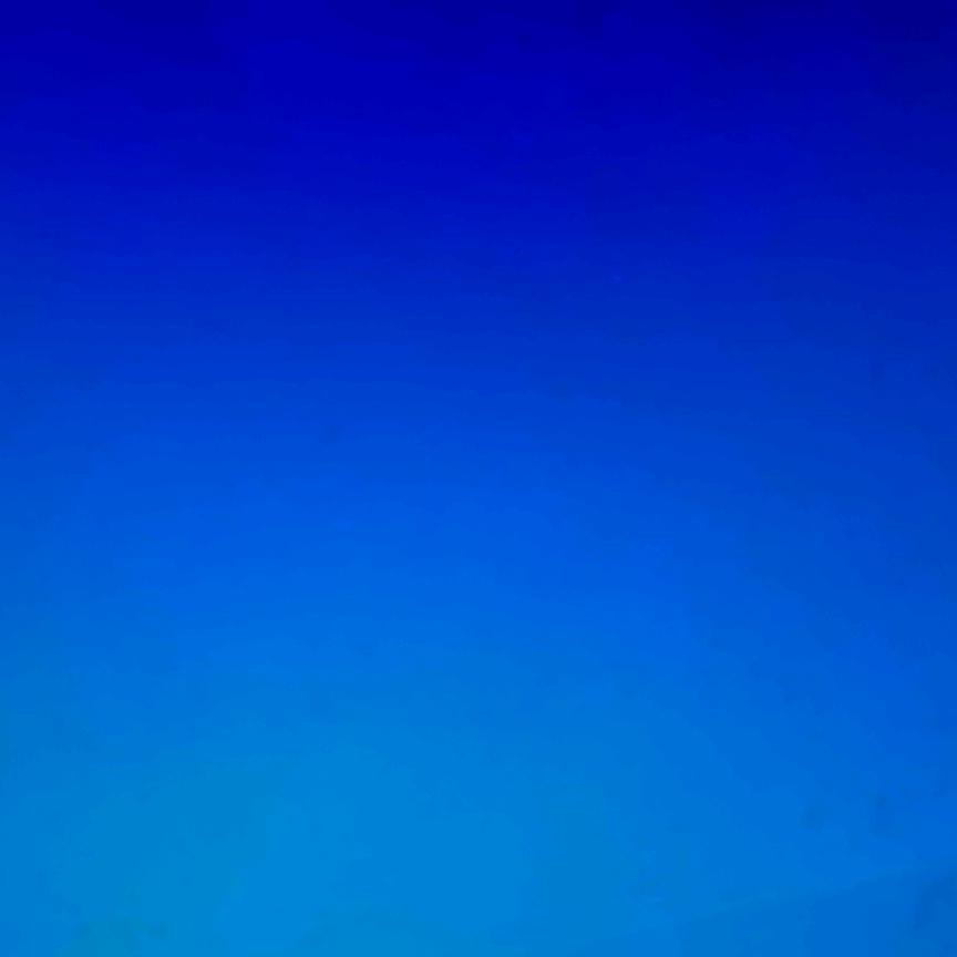 金鑫海短剧
